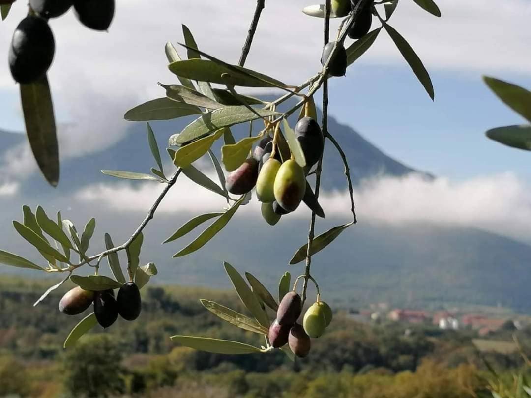 Salisu Country House Mignano Monte Lungo Экстерьер фото